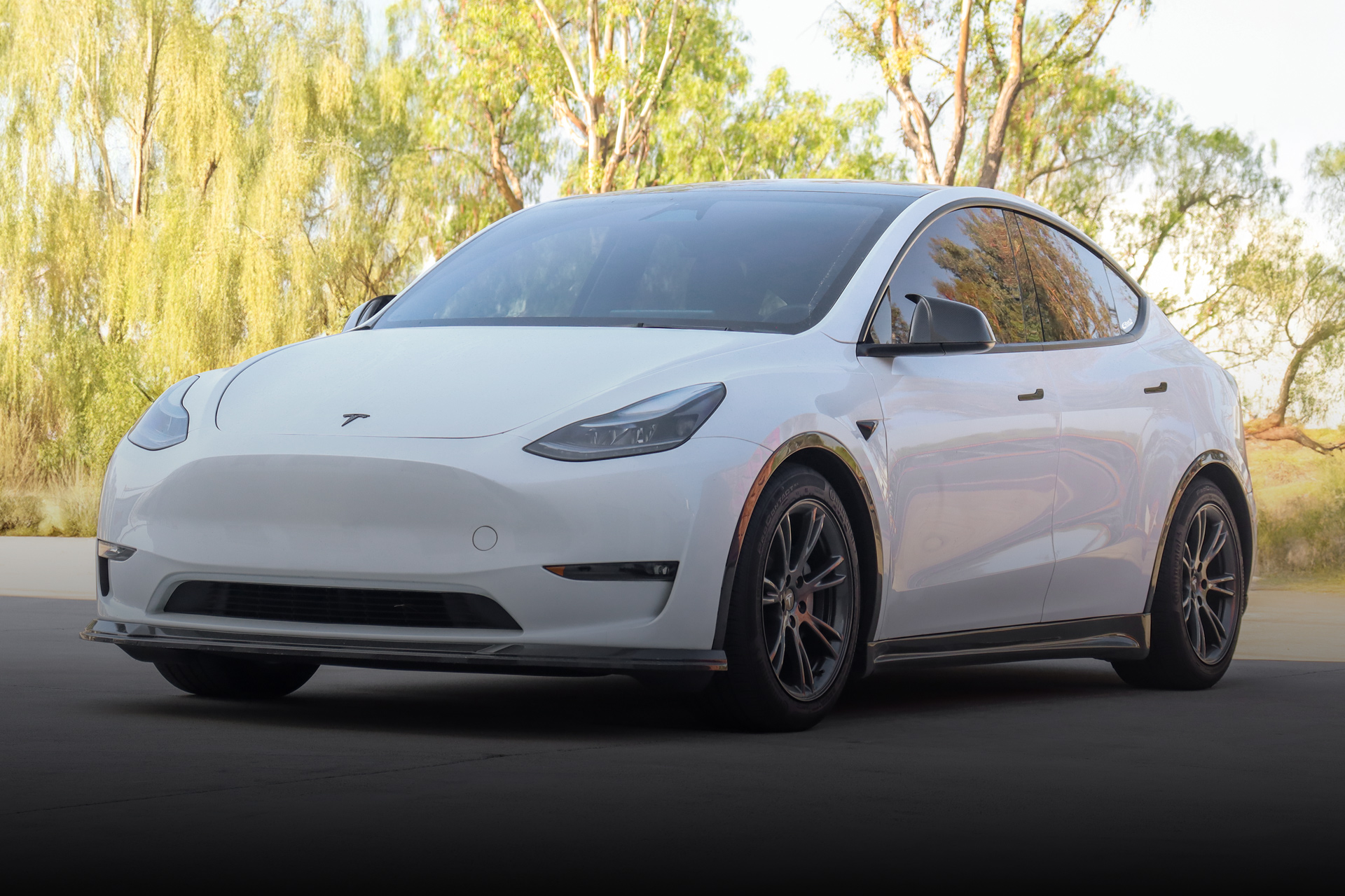 2020-2025 Tesla Model Y Long Range Eibach PRO-KIT EV Now Available