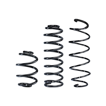 Eibach Replacement Line Springs