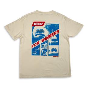 Eibach AP1-FWIN-1 photo