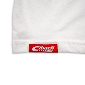 Eibach AP1-LOGO-2 photo