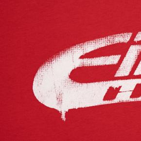 Eibach AP1-LOGO-3 photo